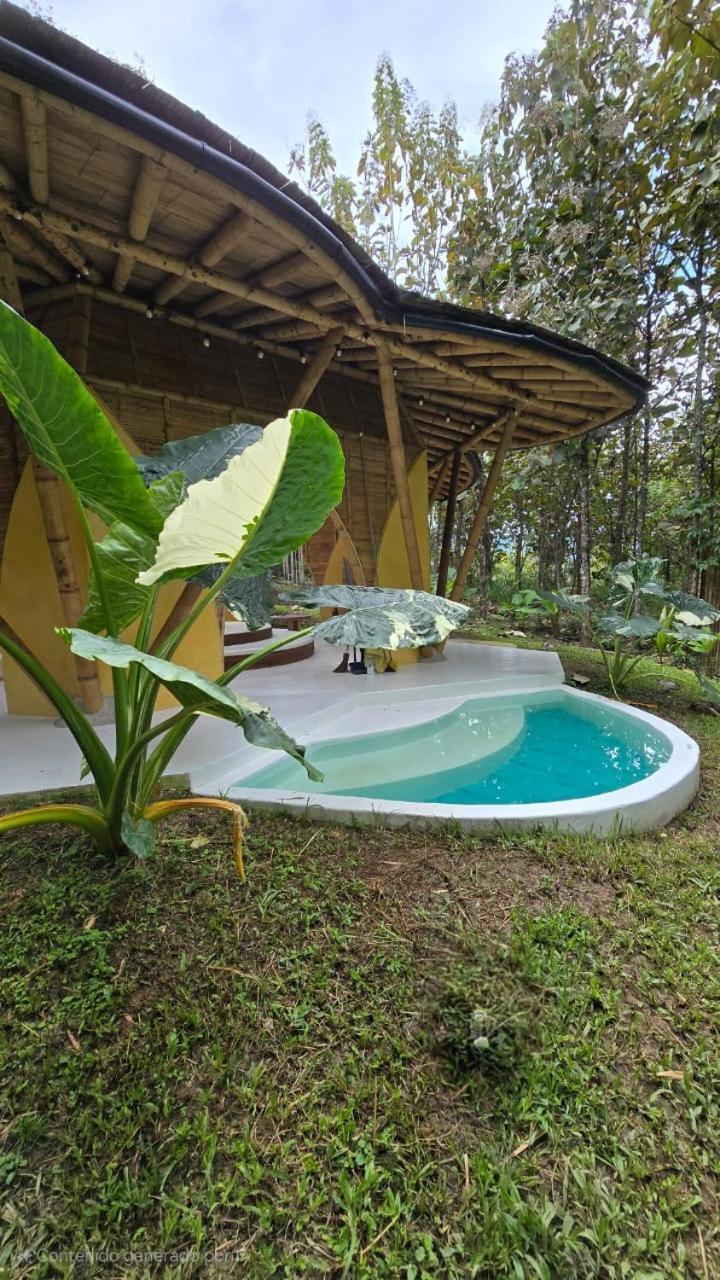 Balinesa Ecolodge Valparaíso エクステリア 写真